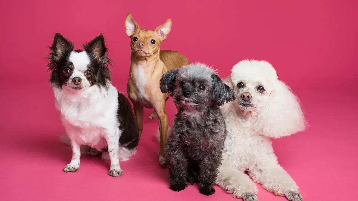 Top 10 Breeds That Stay Tiny Forever