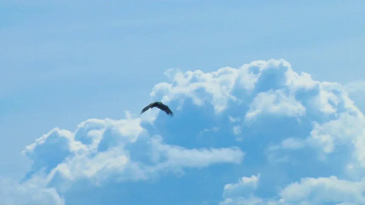 Soaring: Why Eagles Fly So High for Energy Conservation