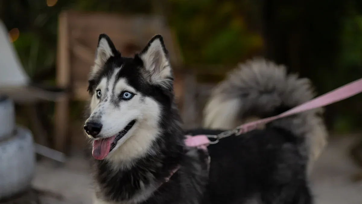 Unique Markings