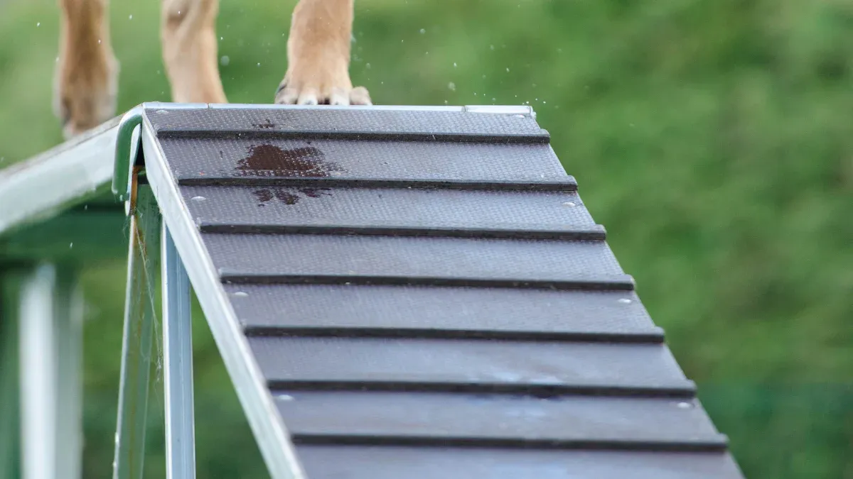 Training for Hunting Dogs