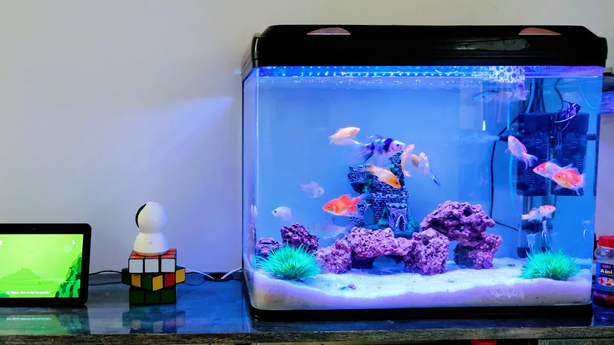 Tank Size and Setup