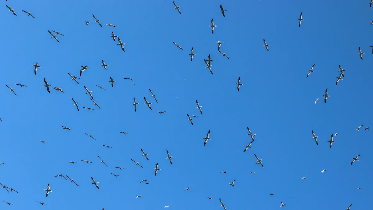 German Avian Landscape