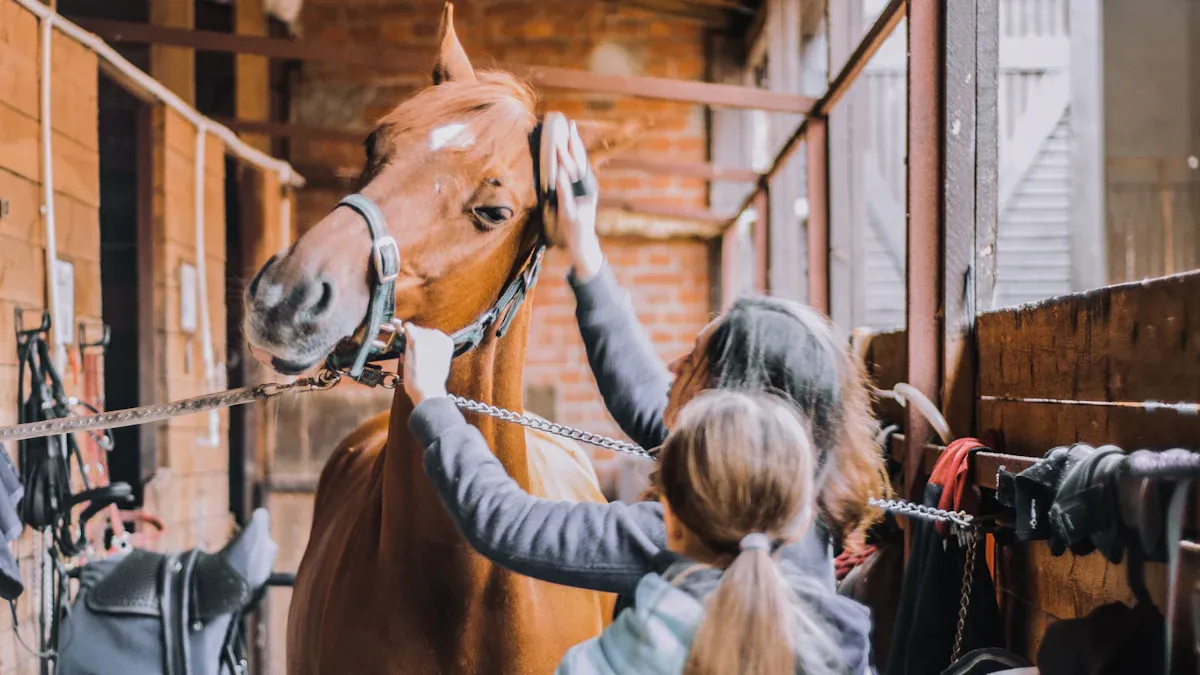 Can You Get Lice from Horses?