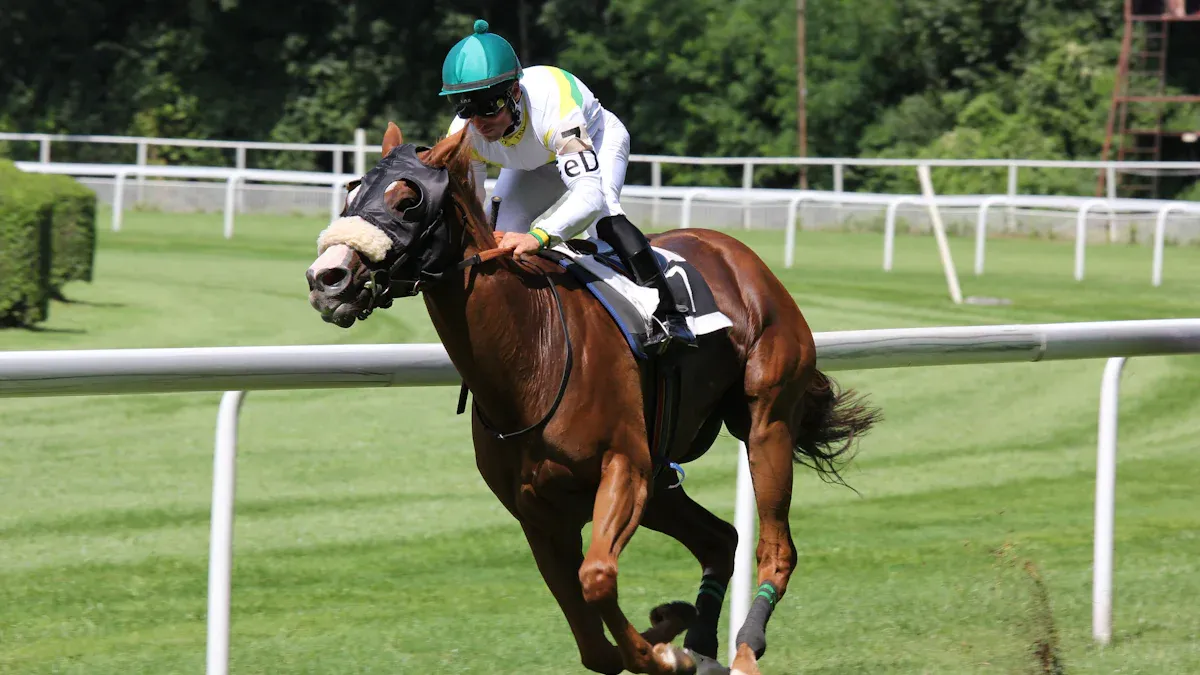 Influences on Race Horse Names