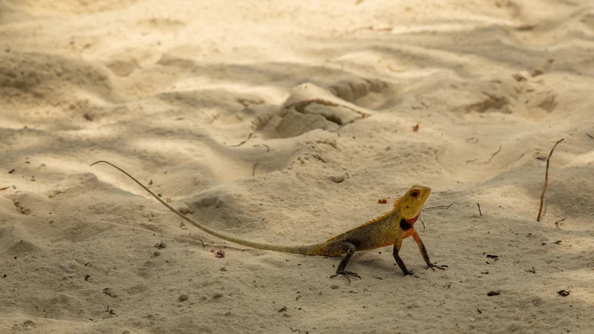 What Does The Western Fence Lizard Eat? Diet, Foraging Habits, and Reptile Nutrition