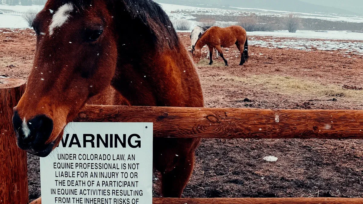 Horses Euthanized: Ethical Considerations