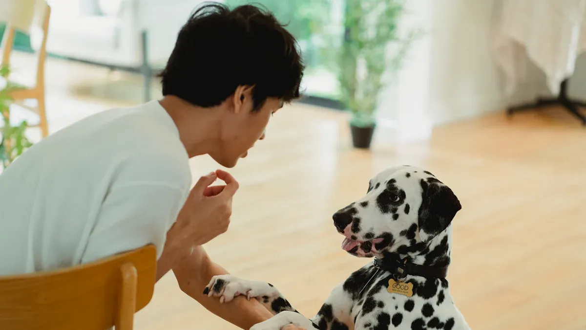 Positive Reinforcement Techniques