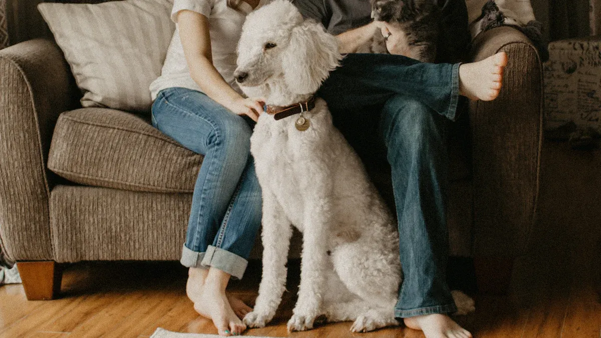 Best House Dog Breeds