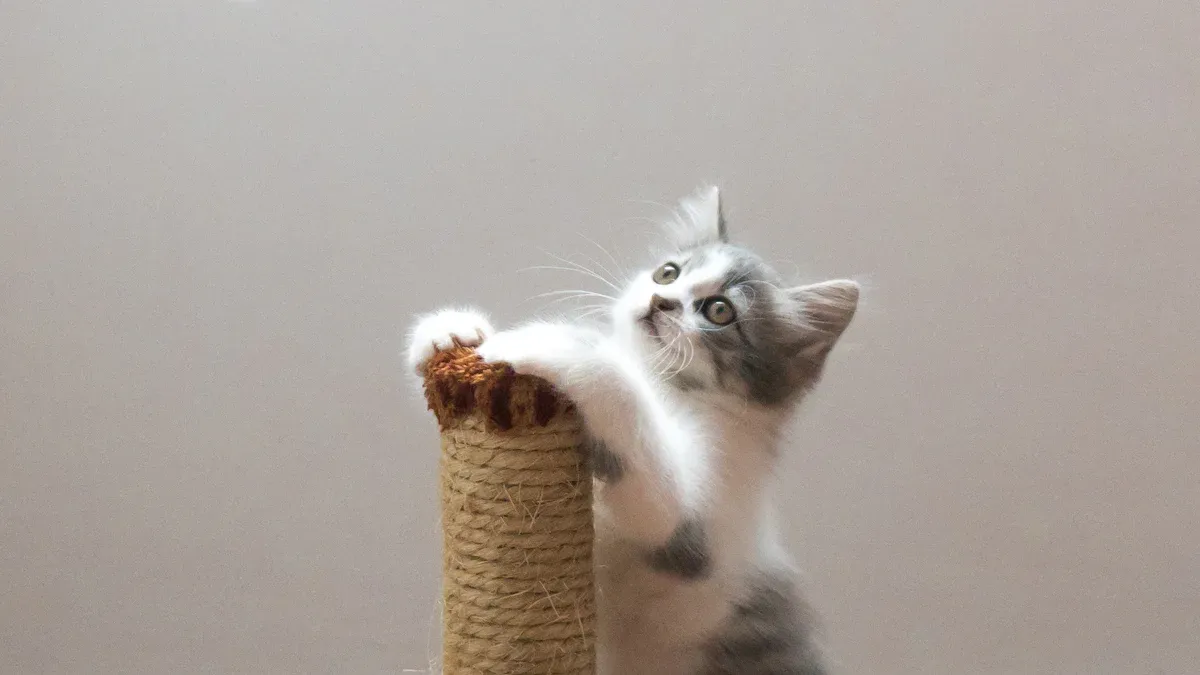 Safe Air Fresheners for Cats