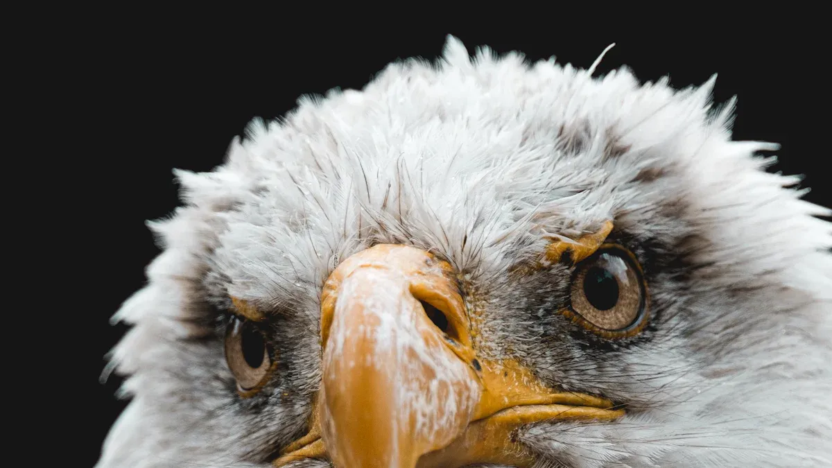 High-Altitude Vision: The Hunter'
style=