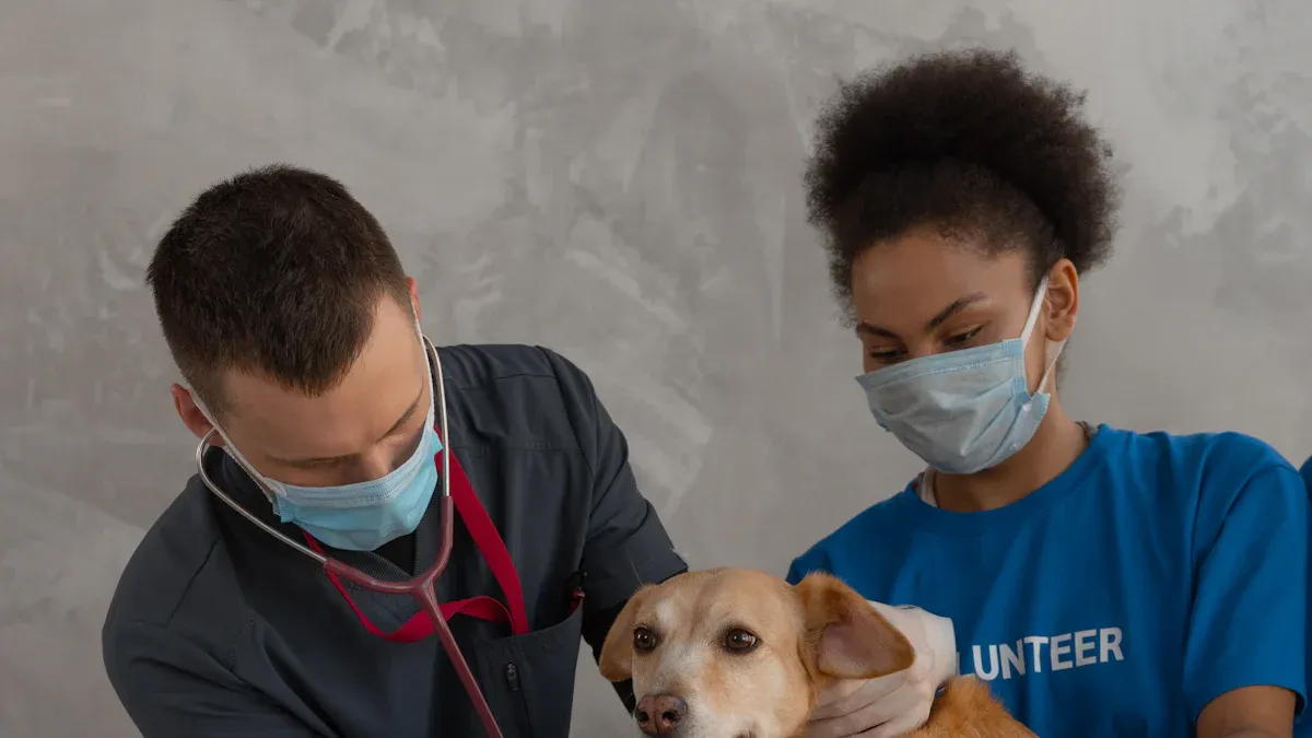 Factors Influencing Dog Lifespan