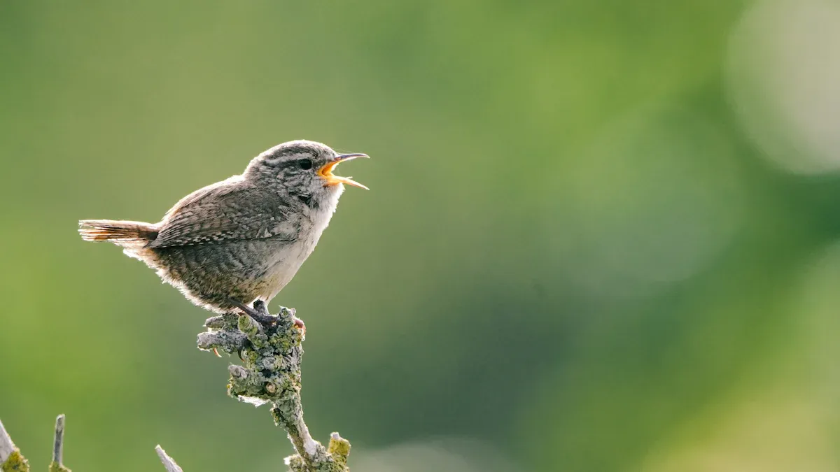Factors in Chirp Volume