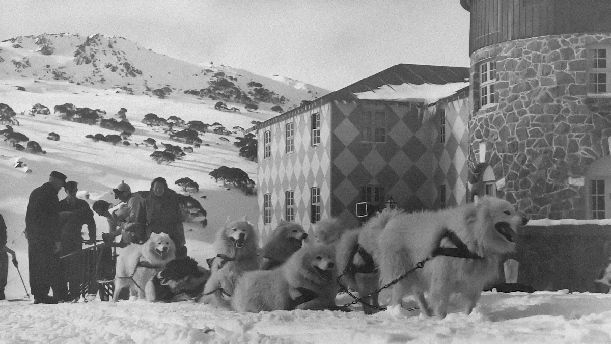 Early Dogs in Film History