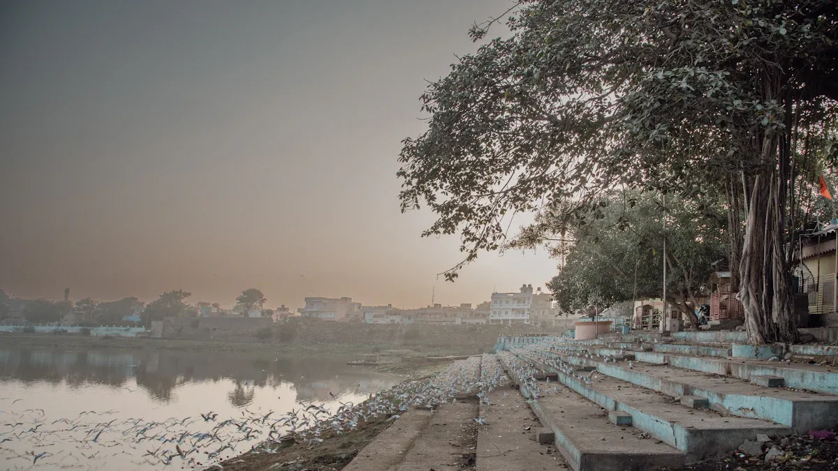 Diverse Habitats of the Indian Subcontinent