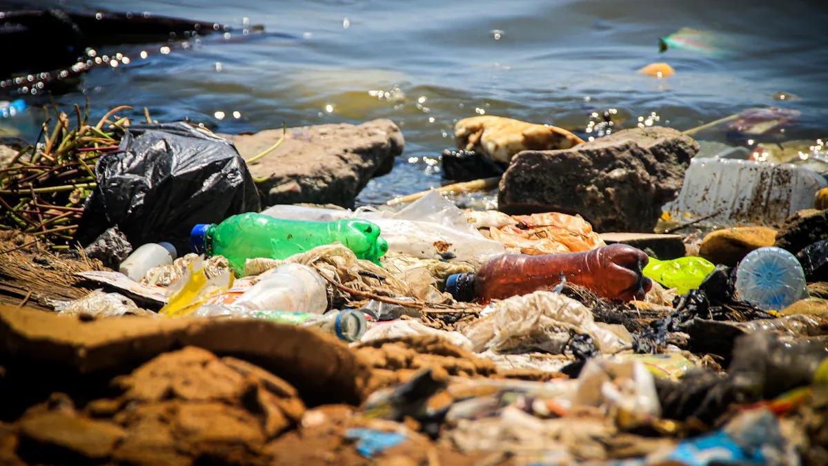 Extent of Plastic Ingestion