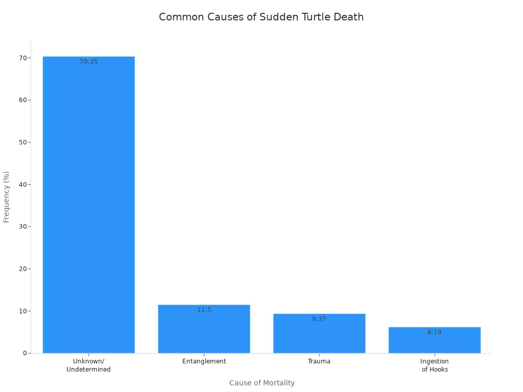 Bar chart showing most common causes of sudden death in turtles