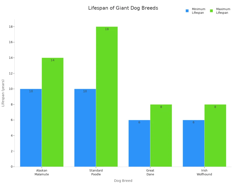 Bar chart comparing minimum and maximum lifespans of Alaskan Malamute, Standard Poodle, Great Dane, and Irish Wolfhound.