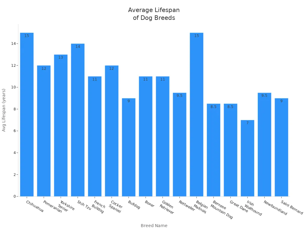 Bar chart showing average lifespans of various dog breeds
