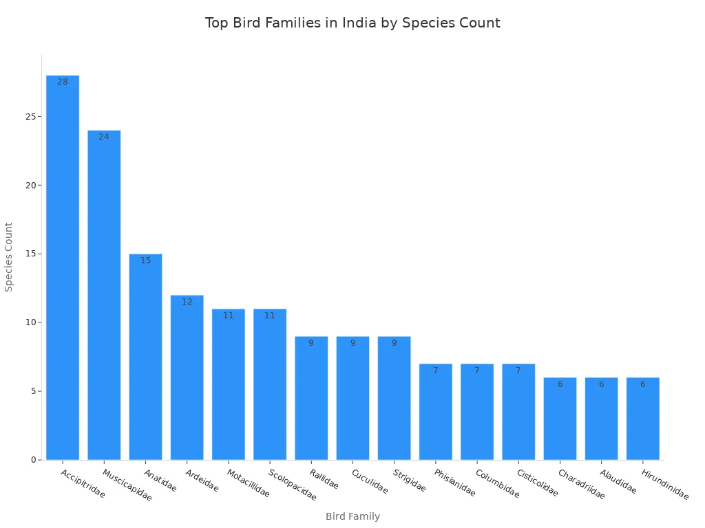 A bar chart displaying the species count for the most prominent bird families in India, ordered from highest to lowest count.