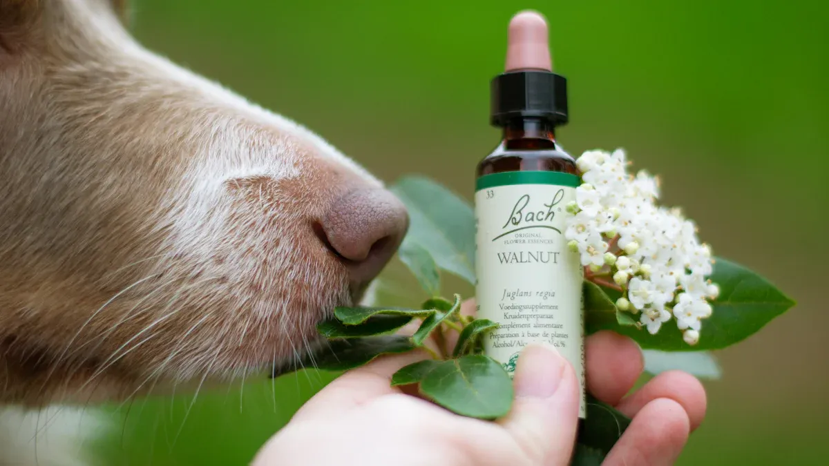 Is Eucalyptus Oil Safe to Use Around Dogs?