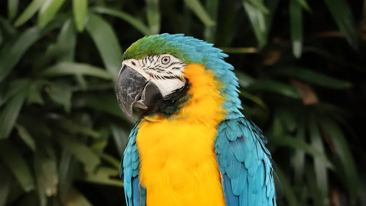 Blue-and-Yellow Macaw: Vibrant Tropical Icon