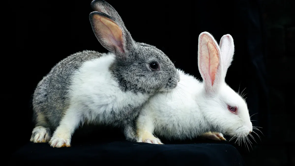 Seagrass Safe for Rabbits