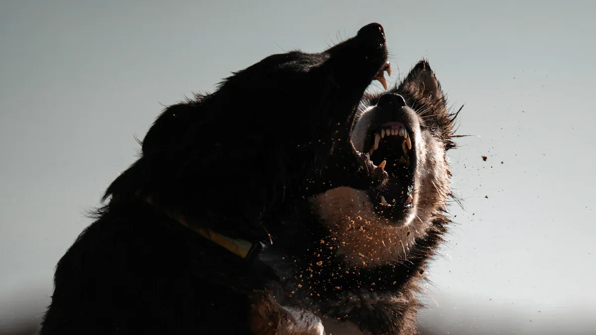 Why Dogs Growl