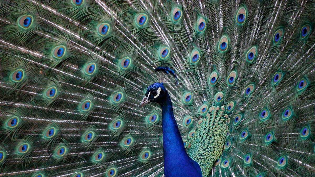 Iconic Bird Species of India