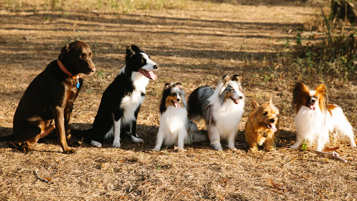 Top 15 Gentle Giant Dog Breeds for Families