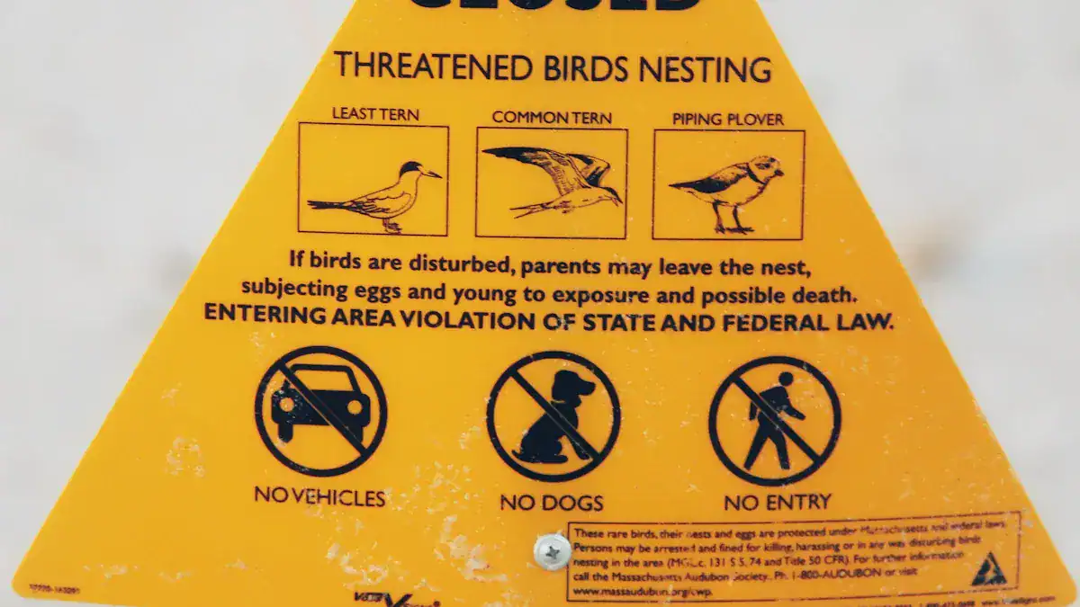Understanding Bird Endangerment