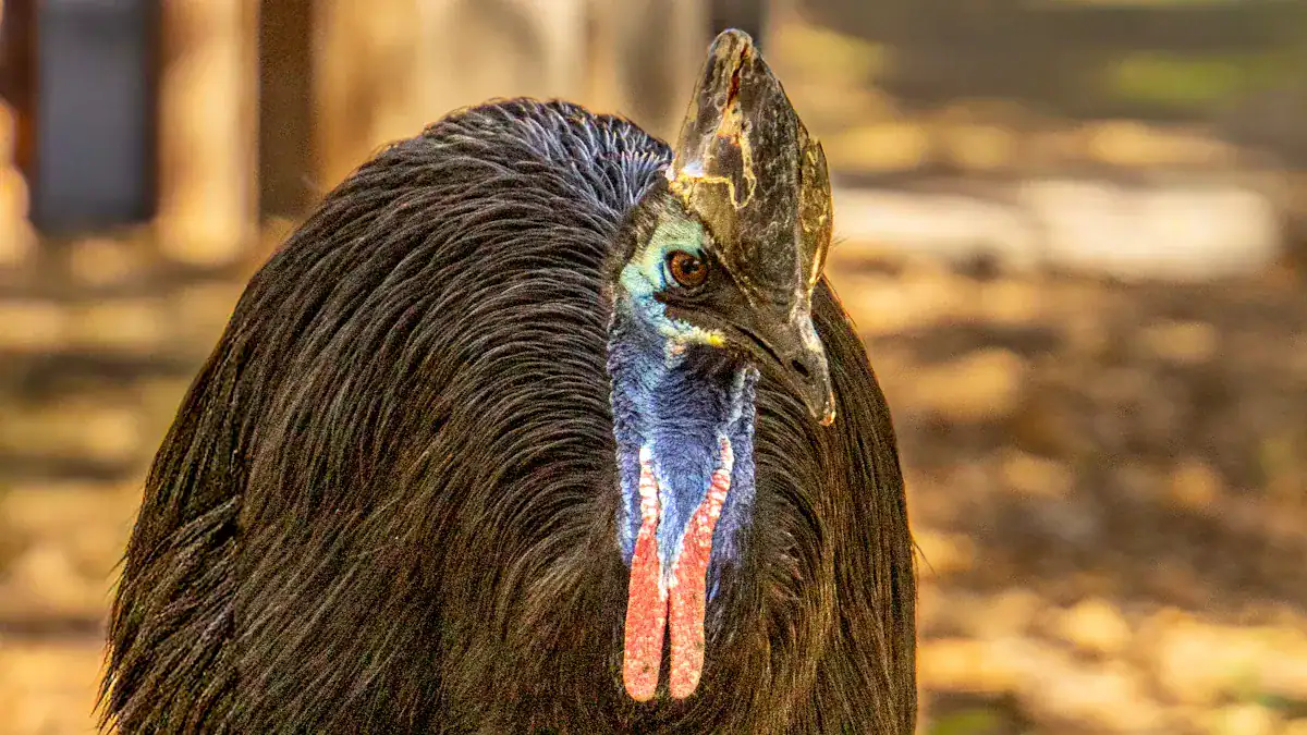 The Critical Dozen: 12 Most Endangered Birds