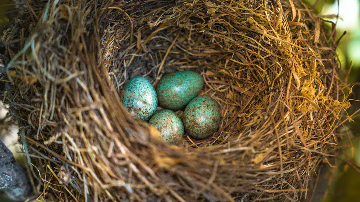 Bird Nest Identification Chart: 15 Nests
