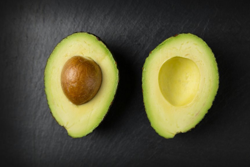 cats and avocado safety