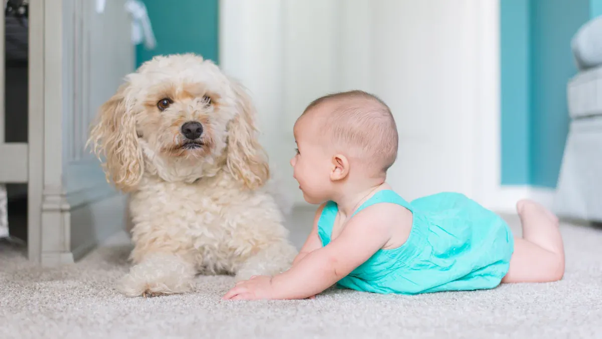 What Makes a Dog Family-Friendly