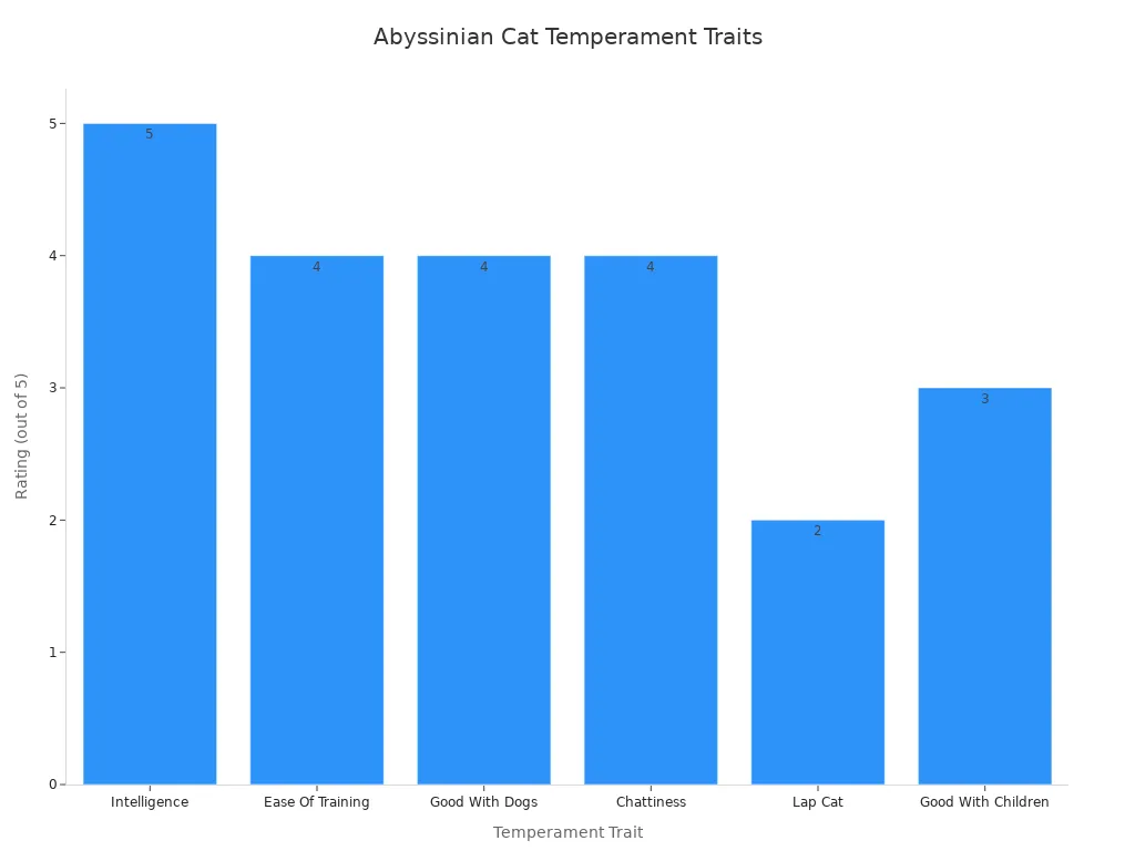 A bar chart showing the temperament traits of Abyssinian cats, rated out of 5. Intelligence is 5, Ease of Training, Good With Dogs, and Chattiness are 4, Good With Children is 3, and Lap Cat is 2.