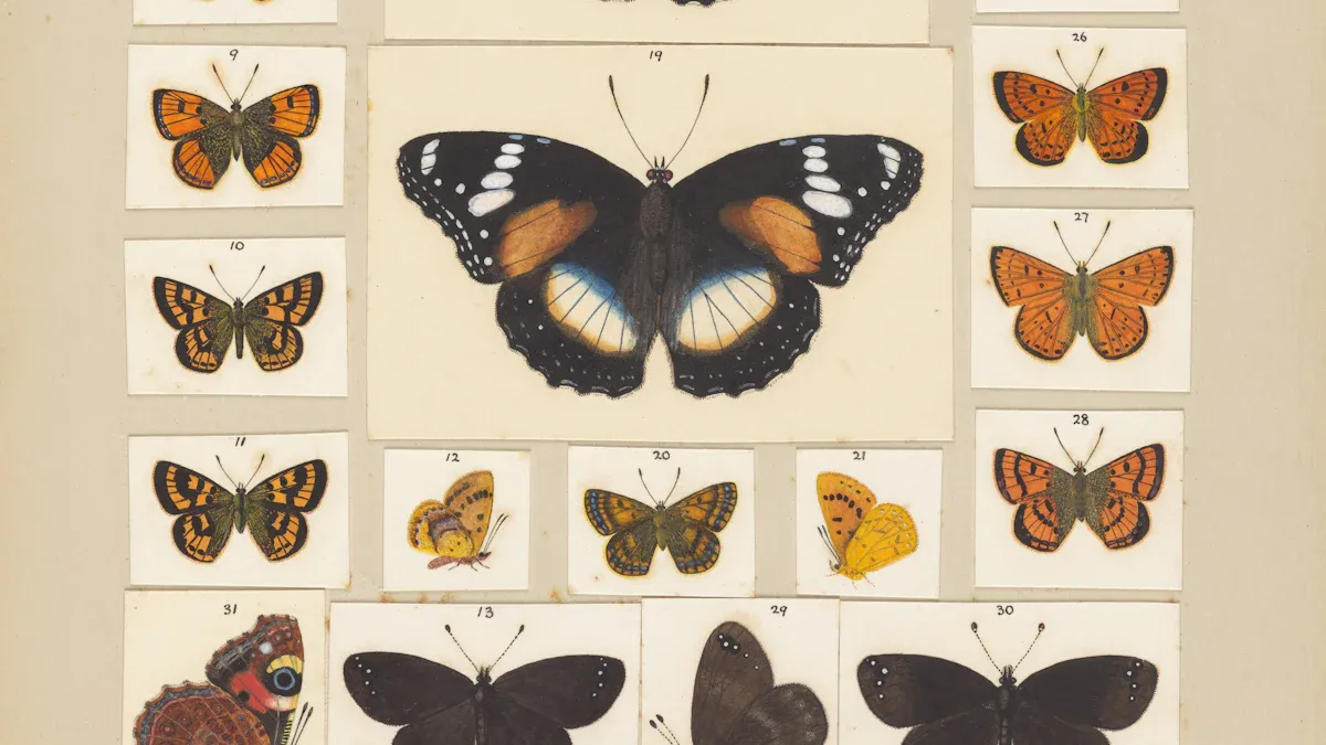 15 Gorgeous Butterfly Species