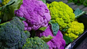 dogs broccoli gassy healthy facts