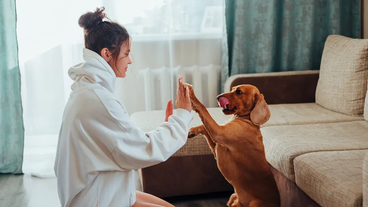 5. Shake a Paw: Friendly Greeting