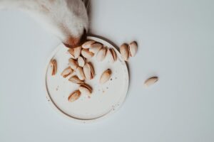 toxic nuts for dogs